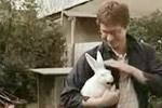 The Singing Rabbit